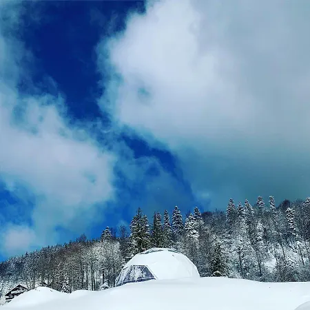 Luxury tent Wegloo Azuga
